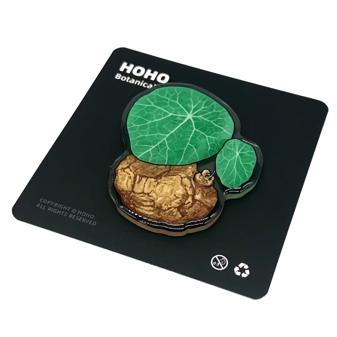 Plant Roots Shape Root-shaped plants brothers – HOHO