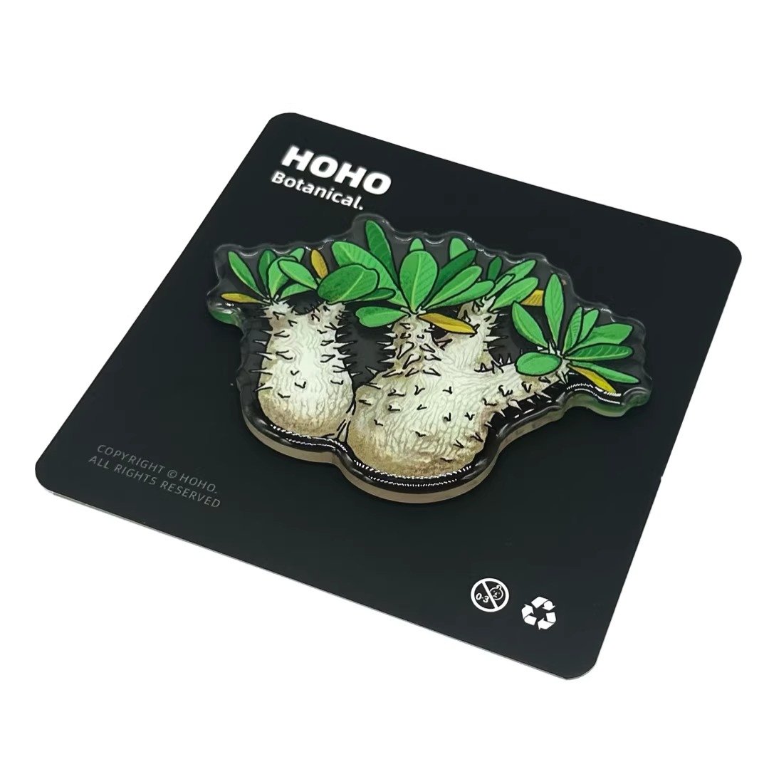 Plant Roots Shape Root-shaped plants brothers – HOHO