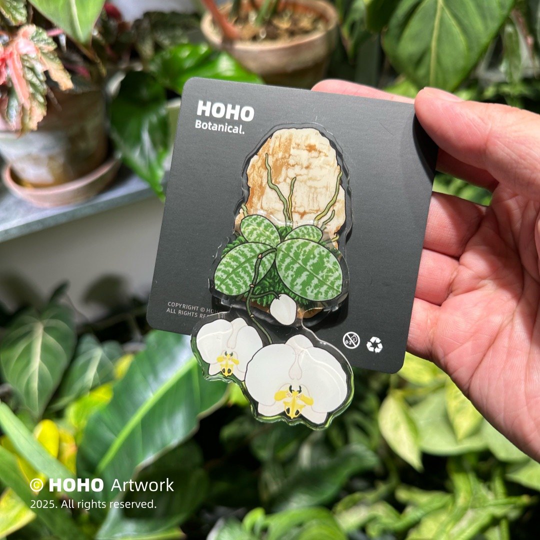 Phalaenopsis Fridge magnet - Image 3