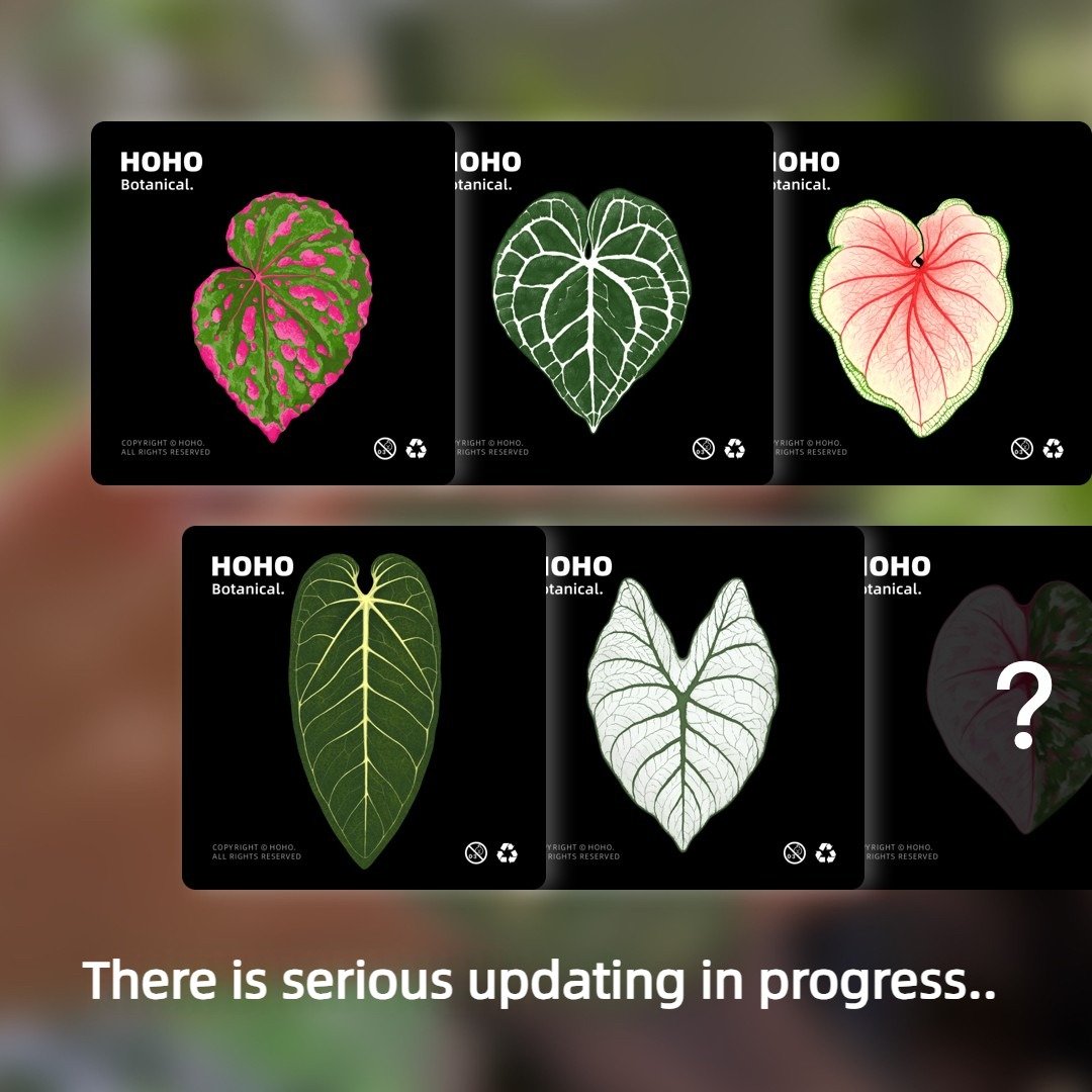 Mobile phone holder - Image 5