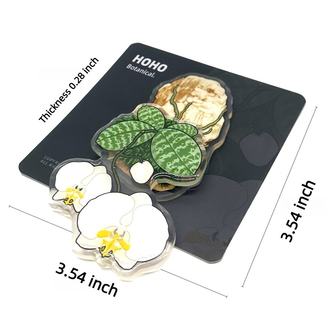 Phalaenopsis Fridge magnet - Image 5
