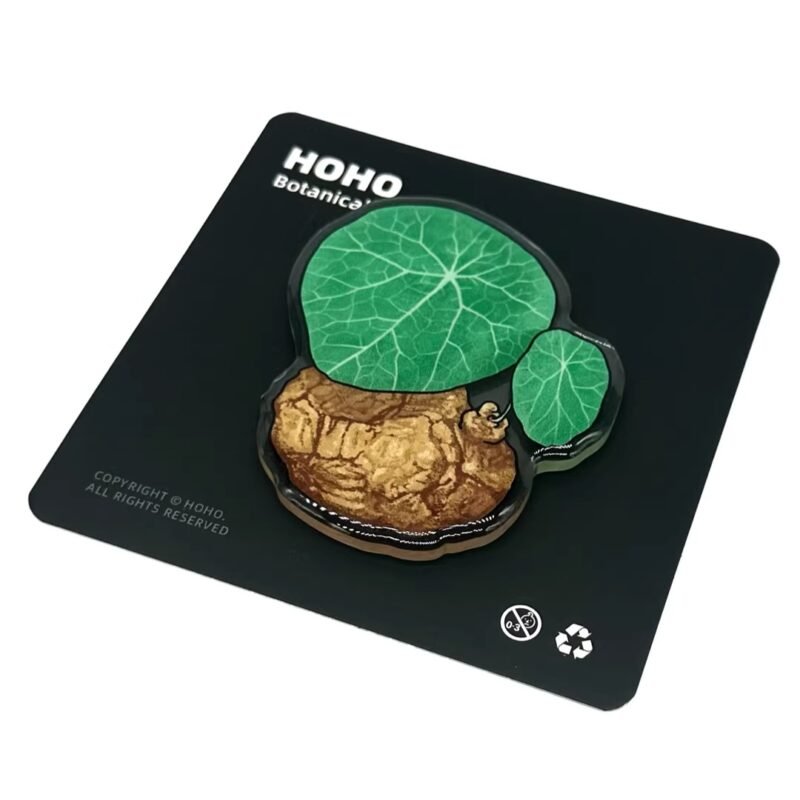 A single turtle leaf