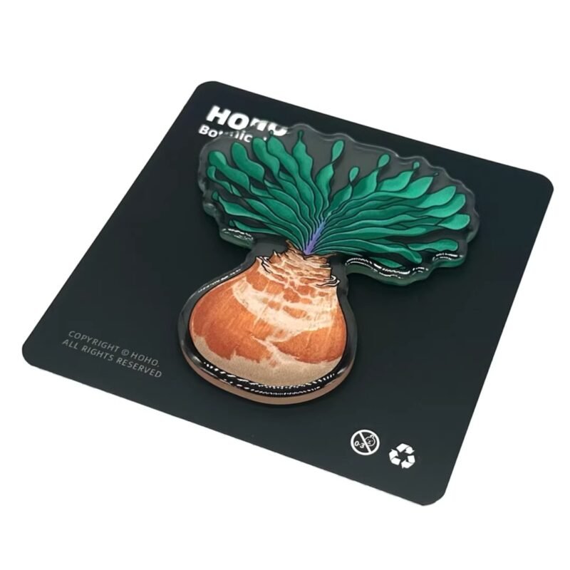 Egg of the Giant Phoenix