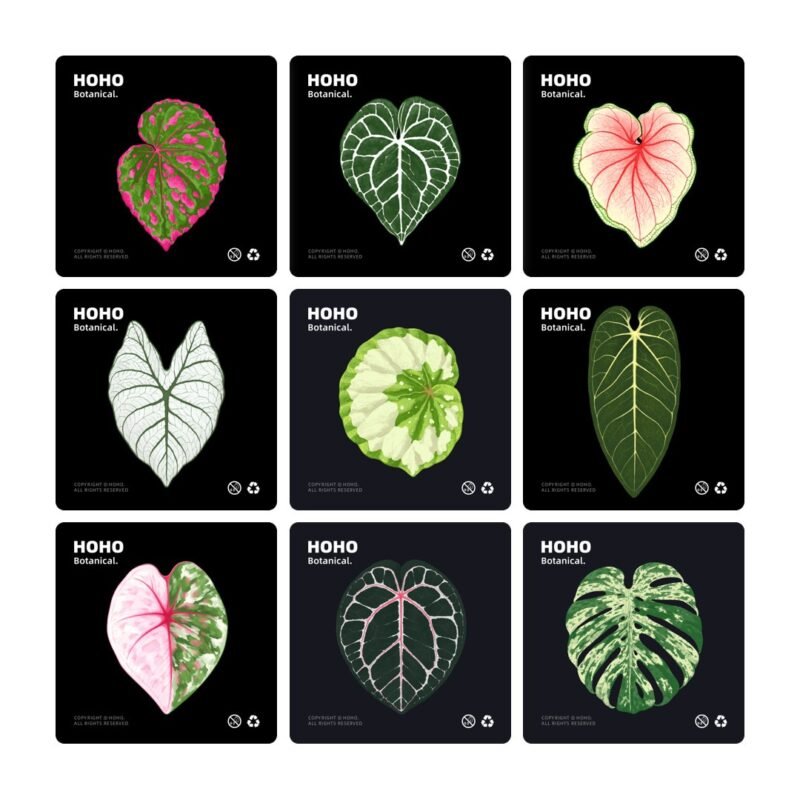 Tropical Plant Party