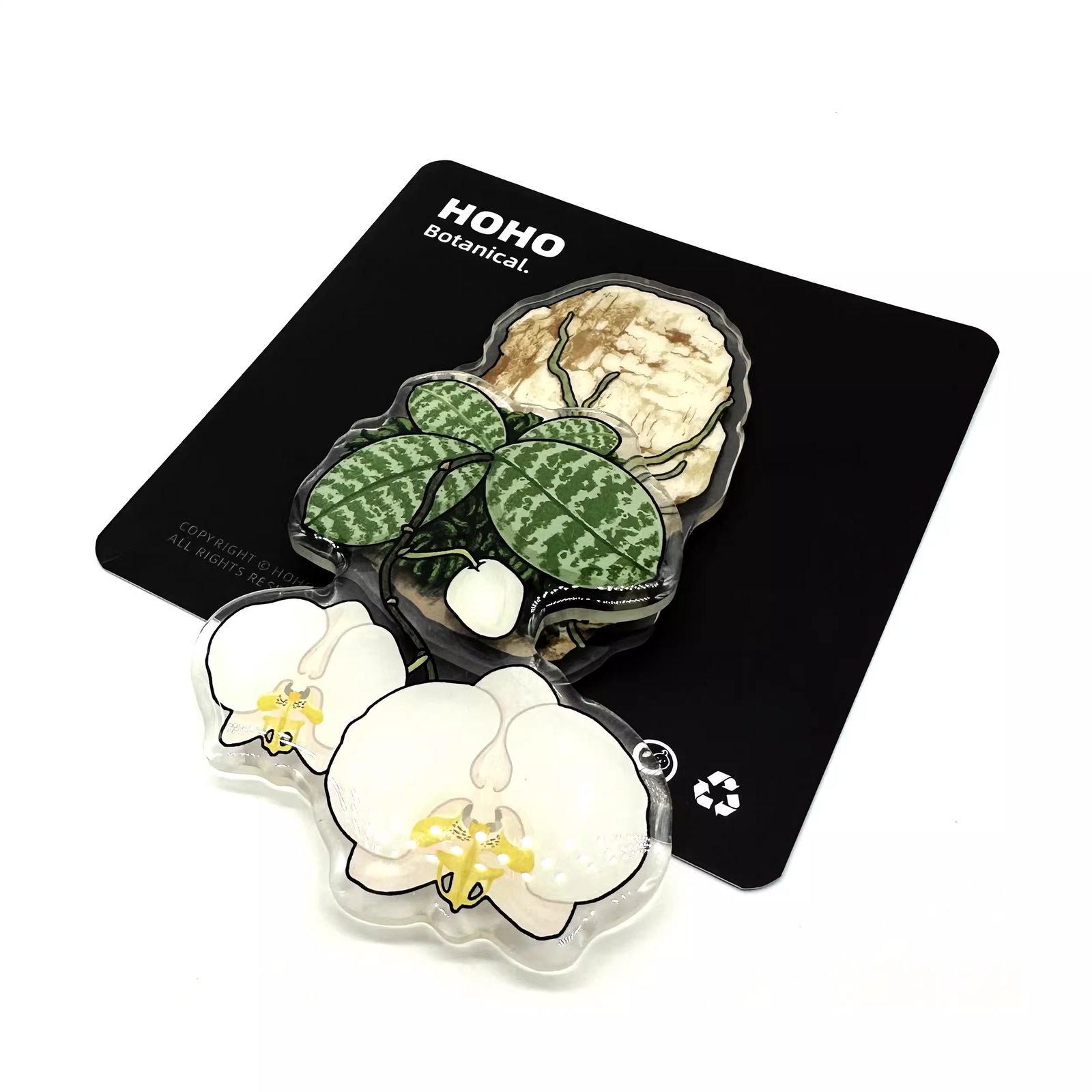 Phalaenopsis Fridge magnet - Image 7