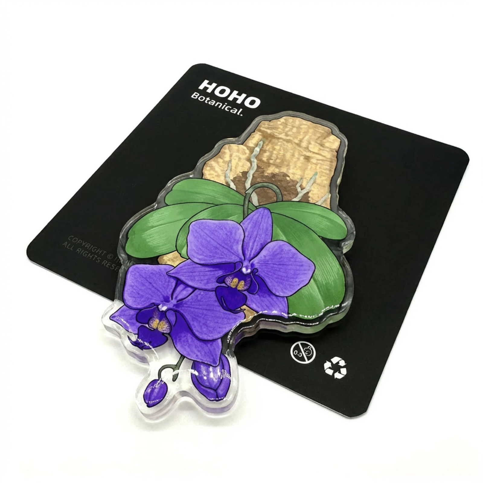 Phalaenopsis Fridge magnet - Image 9